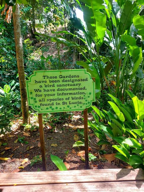 St. Lucia: Scenic Nature Hike & Botanical Garden Escape - What the $121 price really buys