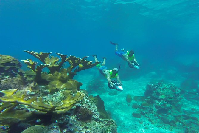 St. Lucia Speedboat and Power Snorkel From Castries - Power snorkeling over a protected reef