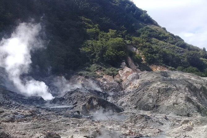 St Lucia Sulphur Springs Drive- in Volcano Tour & Therapeutic Mud baths - What the $140 price really covers