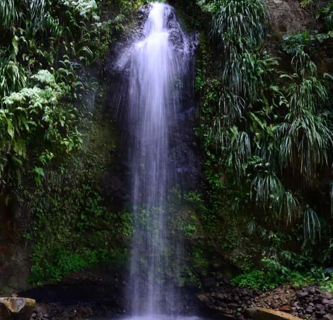St. Lucia: Sulphur Springs Mud Bath and Toraille Waterfall - Toraille Waterfall: The Cool Finish