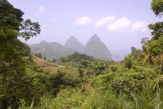 St. Lucia Tet Paul Nature Trail Tour - Quick points before you book
