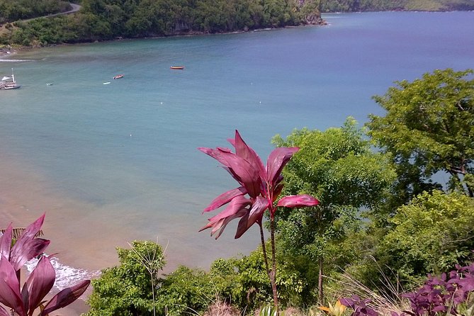 St. Lucia Tet Paul Nature Trail Tour - Is $145 a fair price?