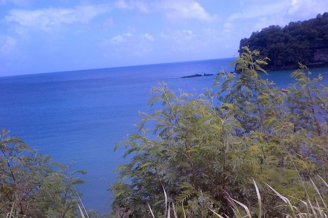 St. Lucia Tet Paul Nature Trail Tour - Who should choose this St. Lucia outing?