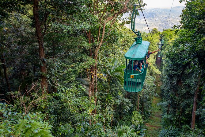 St Lucia Ultimate 3: Aerial Tram, Zipline and Hiking at Rainforest Adventures - The essential facts before you book