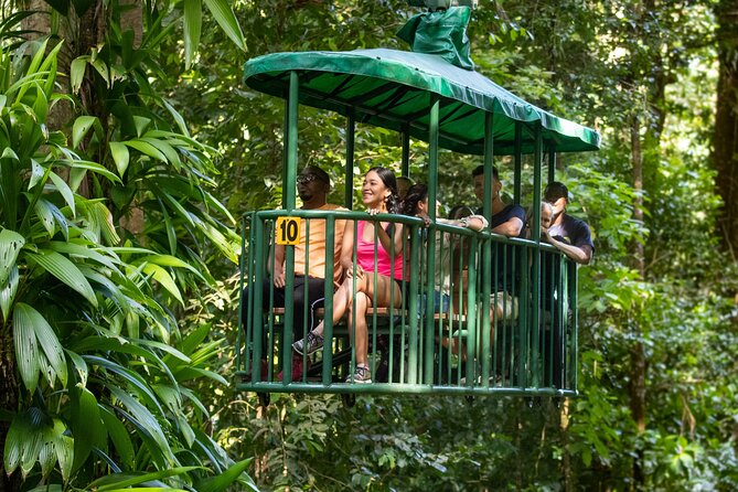 St Lucia Ultimate 3: Aerial Tram, Zipline and Hiking at Rainforest Adventures - The walk from the upper station to the zipline