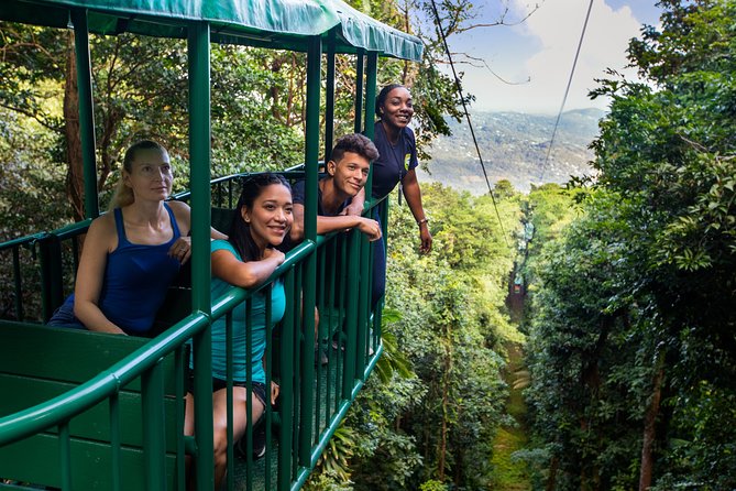 St Lucia Ultimate 3: Aerial Tram, Zipline and Hiking at Rainforest Adventures - Eight zip lines through the rainforest canopy