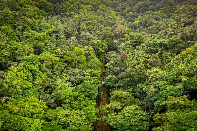 St Lucia Ultimate 3: Aerial Tram, Zipline and Hiking at Rainforest Adventures - Safety, fitness, and who should skip it