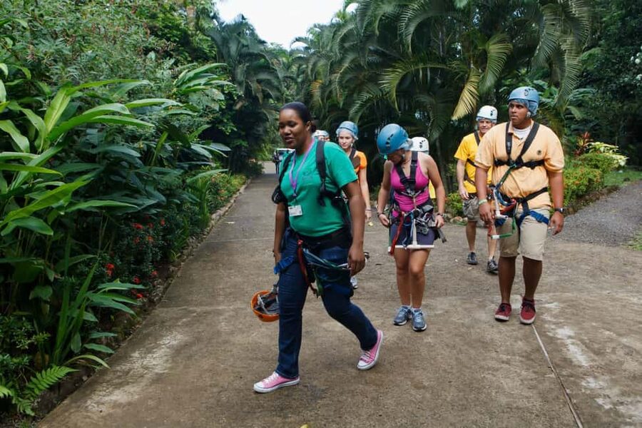 St Lucia Ultimate 3 Package: Aerial Tram Zip Line & Hiking - The aerial tram into the forest