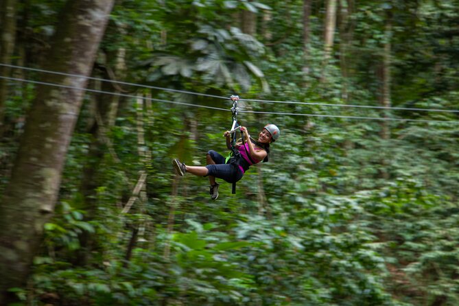 St Lucia Ultimate 3 Package: Aerial Tram, Zipline and Hiking - Hiking through the forest, with a little work required