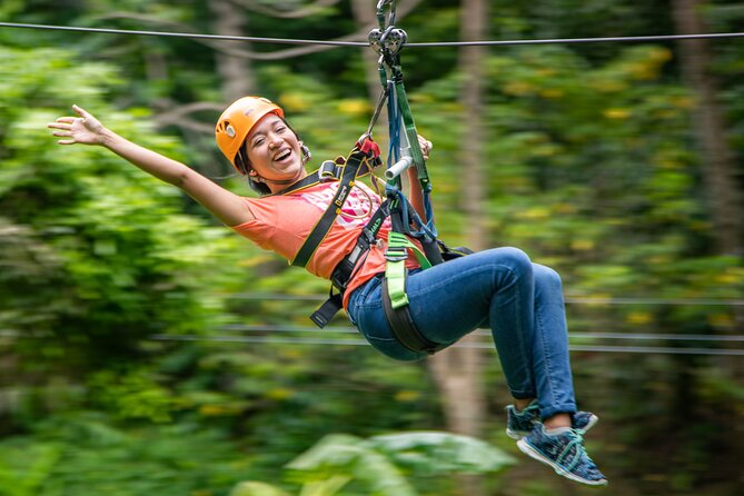 St Lucia Ultimate 3 Package: Aerial Tram, Zipline and Hiking - The canopy course: eight lines and plenty of reassurance