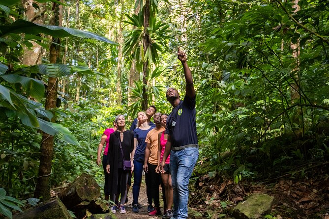 St Lucia Ultimate 3 Package: Aerial Tram, Zipline and Hiking - How the three activities work together