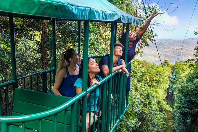 St Lucia Ultimate 3 Package: Aerial Tram, Zipline and Hiking - Reaching the Castries Waterworks Forest Reserve
