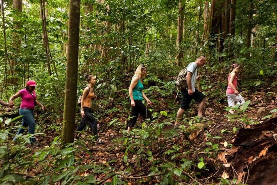 St. Lucia: Zip Line, Aerial Tram, and Hiking Tour - Ten ziplines provide the biggest rush