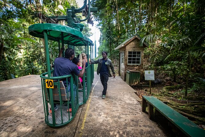 St. Lucia Zip line, Aerial Tram and Hiking tour Ultimate 3 - The 40-minute aerial tram ride to the top