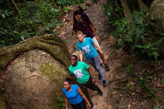 St. Lucia Zip line, Aerial Tram and Hiking tour Ultimate 3 - The $95 price and what it buys you