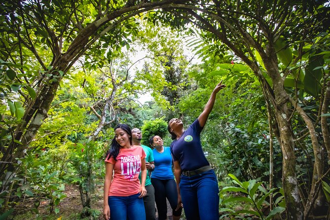 St. Lucia Zip line, Aerial Tram and Hiking tour Ultimate 3 - Who should choose Ultimate 3?