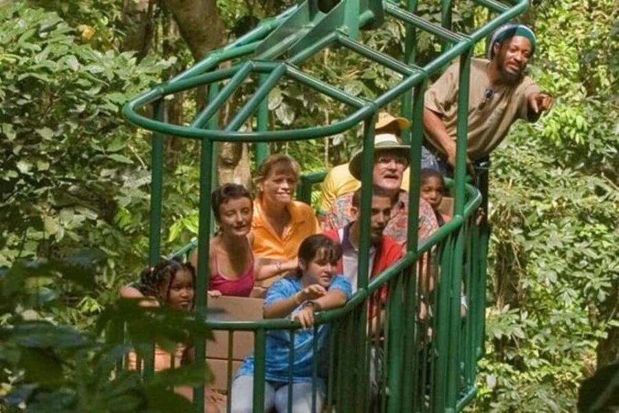 St. Lucia: Zip Line, Aerial Tram, and Hiking Tour - The aerial tram starts at a gentler pace