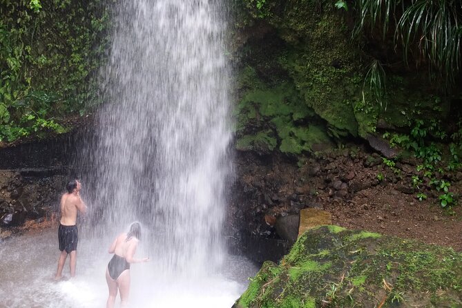 Sulphur Springs Mud Bath and Toraille Waterfall Tour with Creole Lunch - Key points at a glance