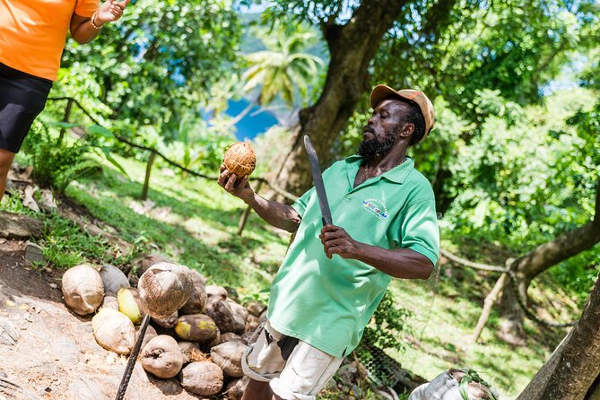Tet Paul Hike & Soufriere Catamaran Experience - What this St Lucia day is really offering