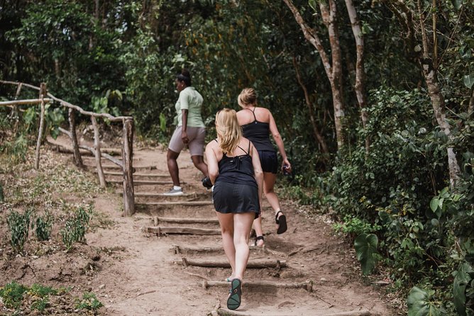 Tet Paul Nature Trail Tour - Why a short Tet Paul walk works so well