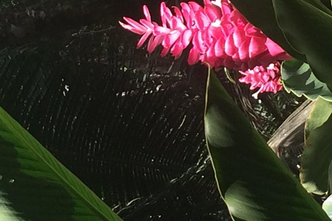 The Best of Saint Lucia Tour - Diamond Falls Botanical Gardens and a gentler finish