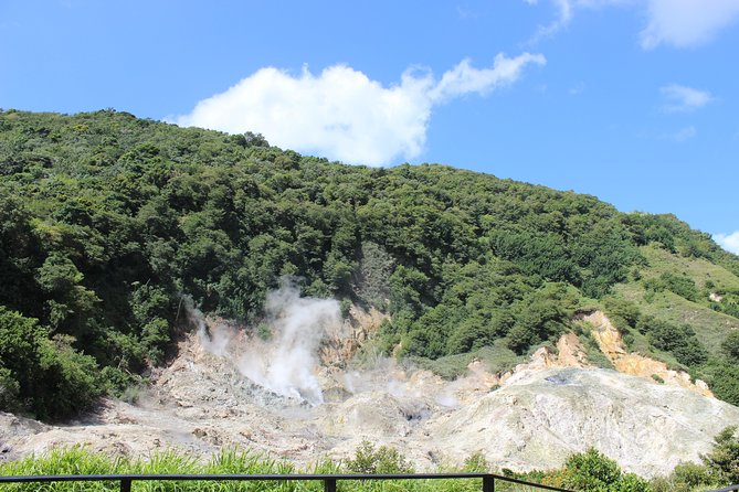The Best of Saint Lucia Tour - The road trip is scenic, but not always easy