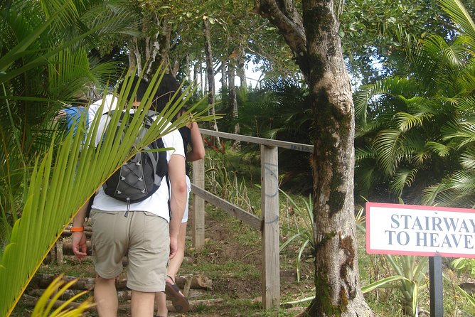 The Best of Saint Lucia Tour - Tet Paul Nature Trail and the famous Piton view