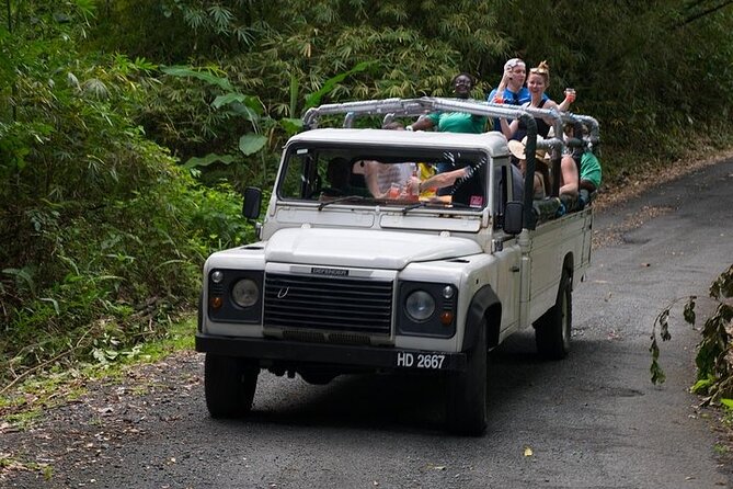 Treetop Adventure Park Canopy Tour - Riding through St. Lucia’s eastern rainforest