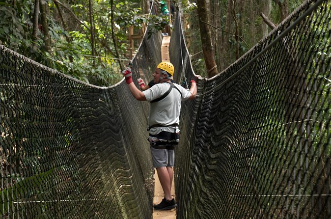 Treetop Adventure Park Canopy Tour - How the day usually feels from pickup to return
