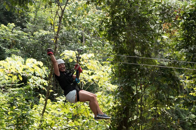 Treetop Canopy Adventure - What the praise tells you, and what the complaint means
