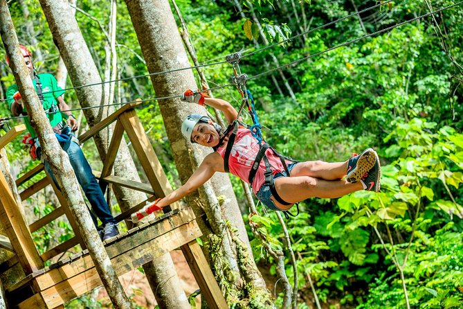 Treetop Zipline Experience From Castries - Key points to know before you book
