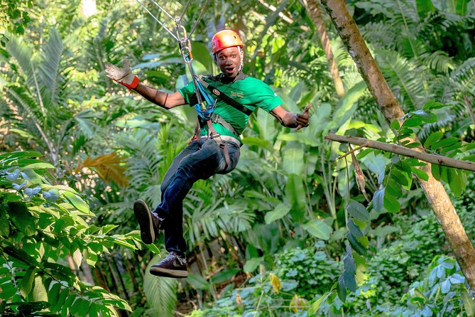 Treetop Zipline Experience From Castries - Twelve lines, including the island’s biggest rides