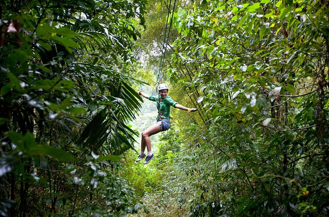 Treetop Zipline Experience From Castries - The net bridge adds a different kind of challenge