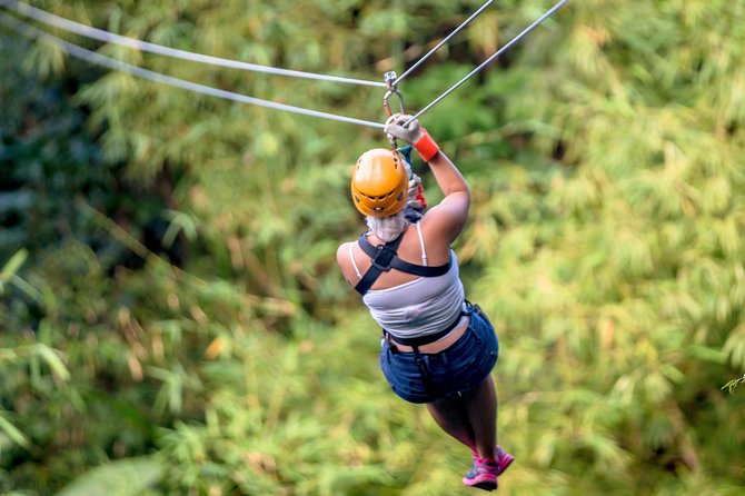 Treetop Zipline Experience From Castries - What the pickup and timing mean for you