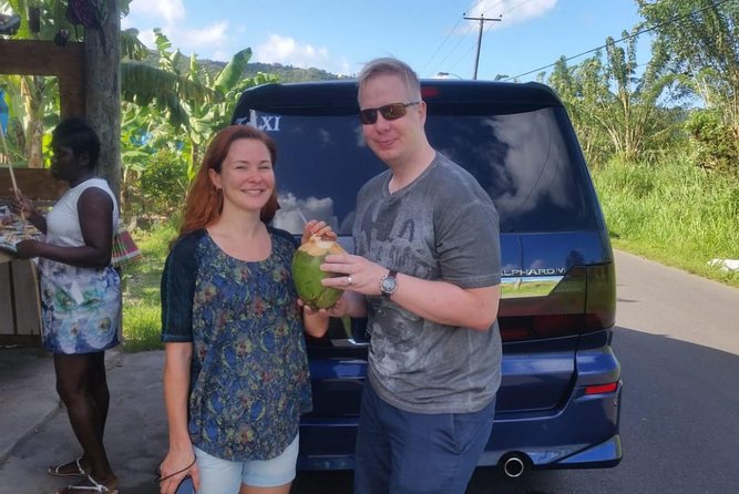 Trip to Soufiere: Volcano, Twin Pitons, Waterfall, Mud Bath & Botanical Garden - The Twin Pitons close-up