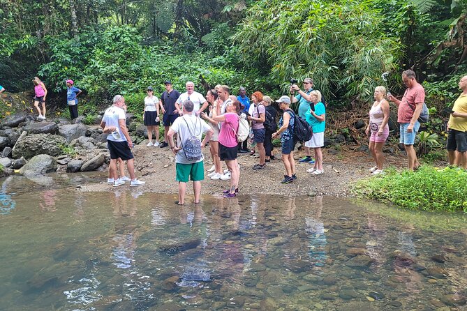 Waterfall and Beach Safari in Santa Lucia - What the Guides Add to the Day