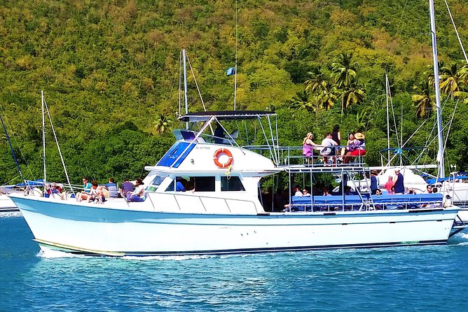 Whale and Dolphin Watching Cruise in St Lucia - Rum punch, shade, and comfort on the boat