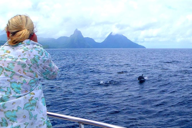 Whale and Dolphin Watching Cruise in St Lucia - Who should book this cruise?