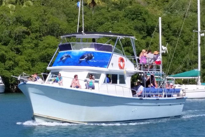 Whale and Dolphin Watching Cruise in St Lucia - The thrill of finding sperm whales and dolphins